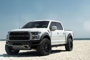 Ford F-150 Raptor Fuel Sledge - D596 Wheels