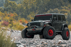 Jeep Wrangler Fuel Covert Beadlock - D113 Wheels