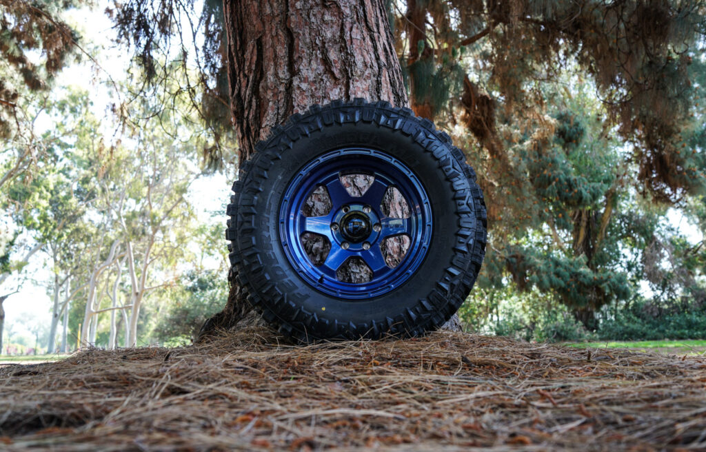 Toyota FJ Cruiser with Fuel Shok – D665 wheels